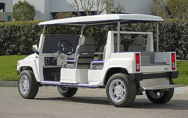 affordable golf cart rental, golf cart rent rochester, rochestergolfcartrental golf cart rental 
