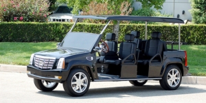 affordable golf cart rental, golf cart rent rochester, rochestergolfcartrental golf cart rental 
