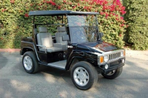 affordable golf cart rental, golf cart rent rochester, rochestergolfcartrental golf cart rental 
