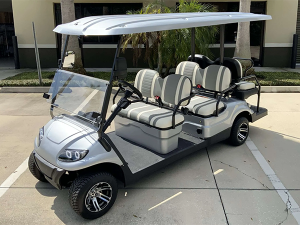 rochester golf cart rental, golf cart rentals