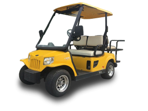 golf car rental rochester, golf cart rental near me